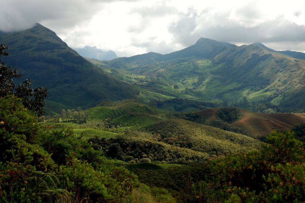 Eravikulam National Park (3).jpg